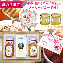 母の日ギフト・国産蜂蜜とプチ巣蜜のセット
