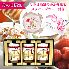 母の日ギフト・はちみつギフトセット